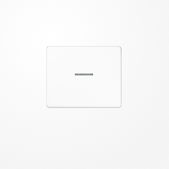 Jung SL590KO5WW Wippe mit Lichtleiter, Aluminium lackiert, Serie SL, alpinweiß