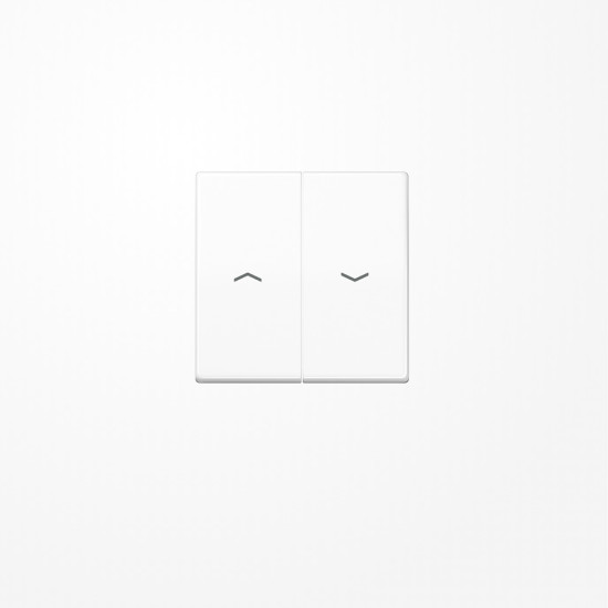 Jung SPAS591-5PWW Wippe, mit Pfeilsymbolen, Duroplast antimikrobiell, Serie AS, alpinweiß