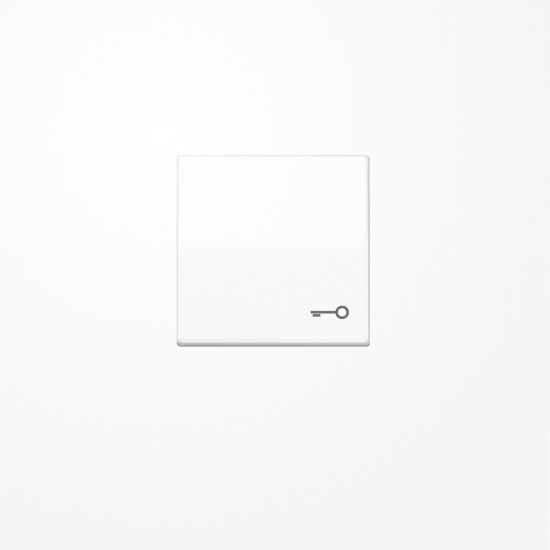 Jung SPAS591TWW Wippe, Symbol Tür, Duroplast antimikrobiell, Serie AS, alpinweiß