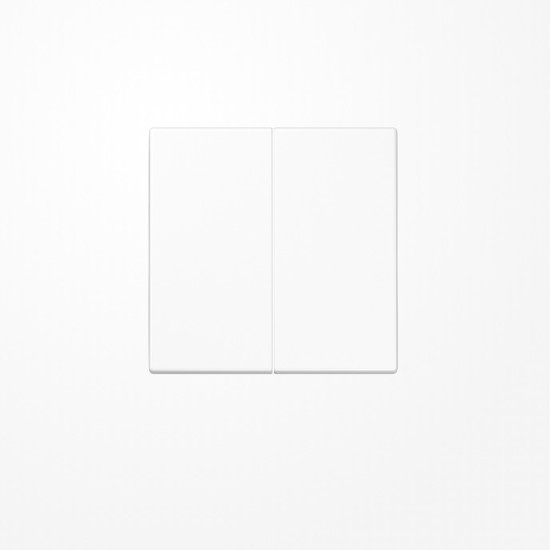 Jung SPLS102WW Wippe für Taster 2fach, Duroplast antimikrobiell, F10, Serie LS, alpinweiß