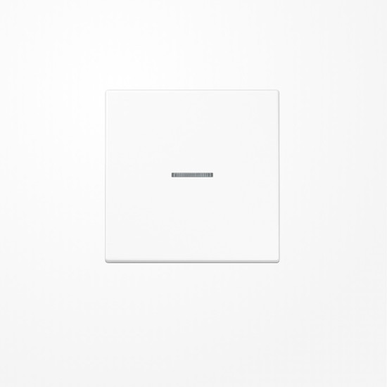 Jung SPLS990KO5WW Wippe mit Lichtleiter, Duroplast antimikrobiell, Serie LS, alpinweiß