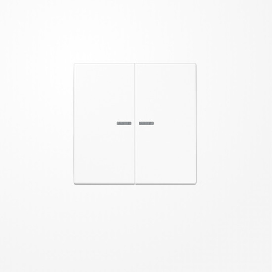 Jung SPLS995KO5WW Wippe mit Lichtleiter, Duroplast antimikrobiell, Serie LS, alpinweiß