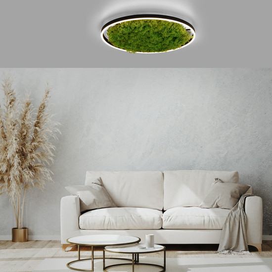 JUST LIGHT GERDA RITUS LED Deckenleuchte Warmweiss Dimmbar 28W moos 15392-66