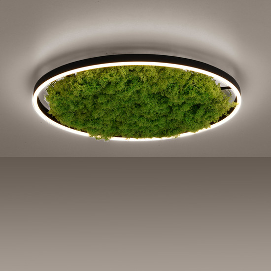 JUST LIGHT GERDA RITUS LED Deckenleuchte Warmweiss Dimmbar 28W moos 15392-66