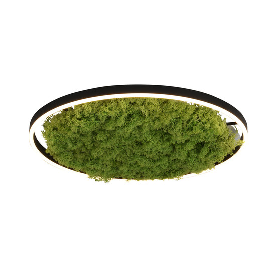 JUST LIGHT GERDA RITUS LED Deckenleuchte Warmweiss Dimmbar 28W moos 15392-66
