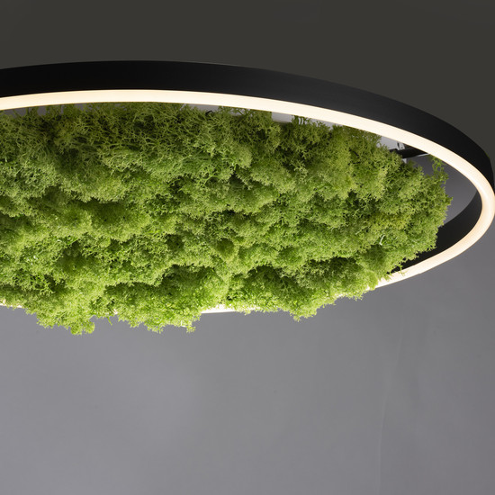 JUST LIGHT GERDA RITUS LED Deckenleuchte Warmweiss Dimmbar 28W moos 15392-66
