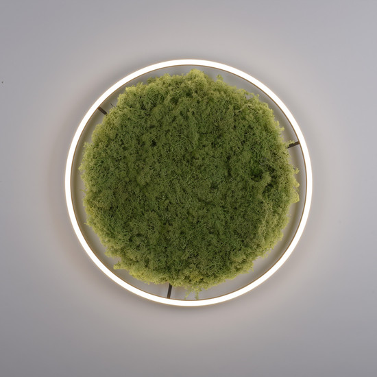 JUST LIGHT GERDA RITUS LED Deckenleuchte Warmweiss Dimmbar 28W moos 15392-66