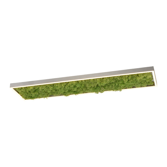 JUST LIGHT GERDA KNUT LED Deckenleuchte Warmweiss Dimmbar 25W moos 15623-66