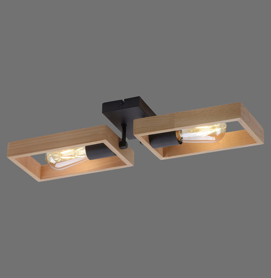 JUST LIGHT FRANKY Wand- und Deckenleuchte E27 max. 60W 2-fach schwarz 15657-18