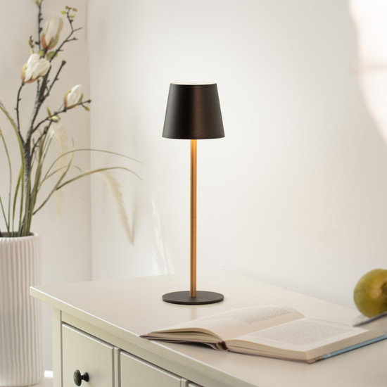 JUST LIGHT EURIA LED AKKU-Tischleuchte Warmweiss Dimmbar 2,5W schwarz/messing IP54 19250-68