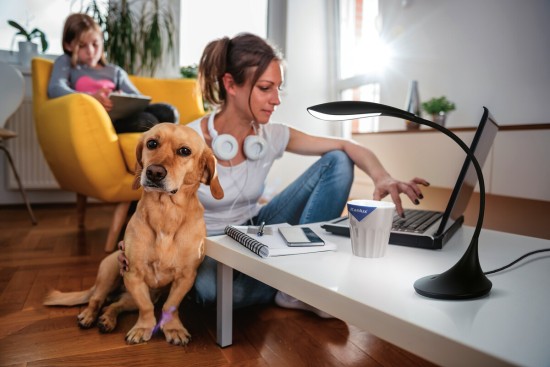 Kanlux 22343 FRANCO II 15LED SMD KT-B Tischleuchte