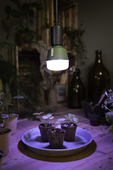 OSRAM LED Leuchtmittel LED STAR GROW T LAMP 20W Clear E27 4058075845800