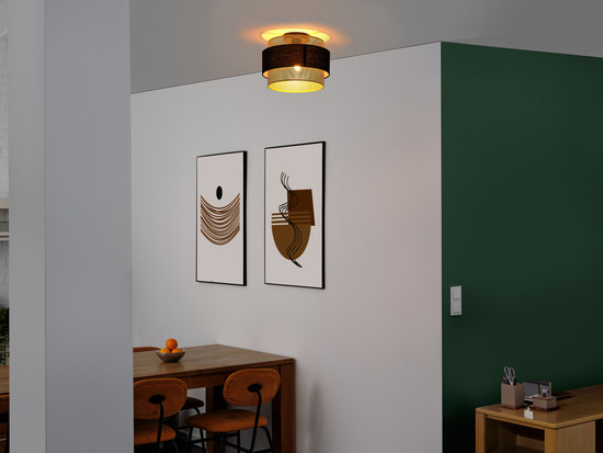 OSRAM Deckenleuchte Decor Hornet Ceiling 1XE27 Black 4058075847842