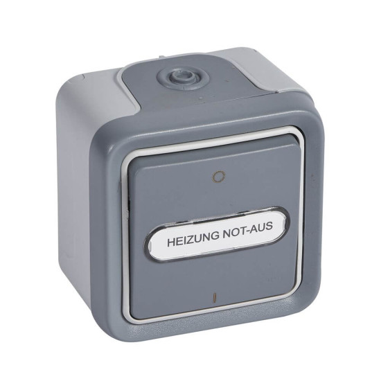 Legrand Plexo55 Feuchtraum Aufputz Heizung Not-Aus 2-polig Grau 069726