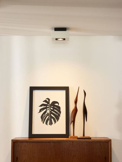 Lucide XIRAX LED Deckenleuchte GU10 Dim-to-warm 5W dimmbar 360° drehbar Weiß, Schwarz 95Ra 09119/06/31