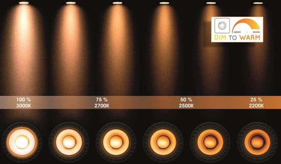 Lucide TAYLOR LED Deckenleuchte GU10 Dim-to-warm 5W dimmbar 360° drehbar Schwarz 95Ra IP44 09930/05/30