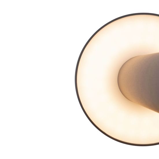 Maytoni Wald LED Landschaftsbeleuchtung 12W 40cm Graphit IP65 Warmweiss