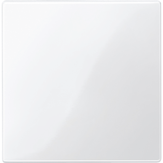 Merten 450019 Zentralplatte für Bus-Abschlussweiche und Leer-Einheit, polarweiß glänzend, System M