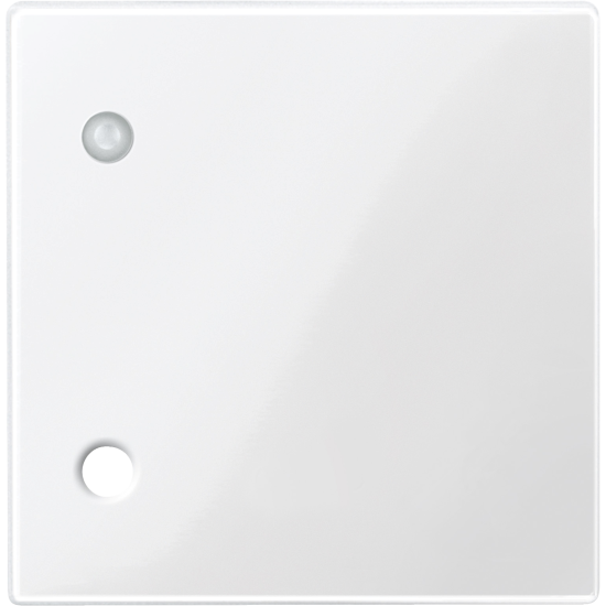 Merten 450719 Zentralplatte für Zugtaster, polarweiß glänzend, System M