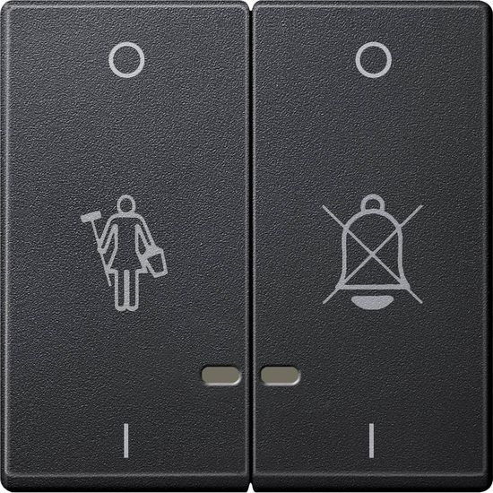 Merten MEG3429-0414 Doppelwippe mit Kontrollfenster und Kennzeichnung für Hotelanwendungen, anthrazit, System M
