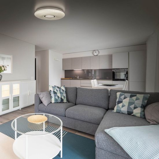 Näve LED Deckenleuchte PICTON Ø31cm 18W Warmweiss weiß dimmbar 1366626