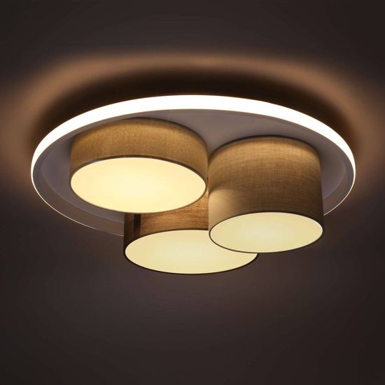 Näve LED Deckenleuchte EPPAN Ø49cm 47,31W Warmweiss grau dimmbar 1383716