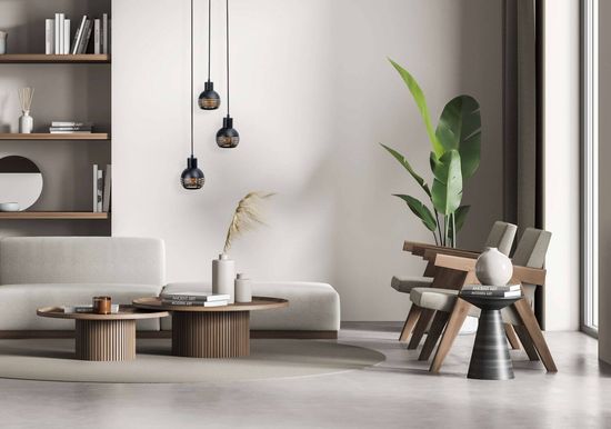 Näve Pendelleuchte CASCO Ø25cm schwarz 7092622