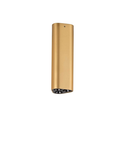 Nova Luce LED Deckenleuchte Etho 6W warmweiss 3000K Gold Aluminium 15x5cm 9695156
