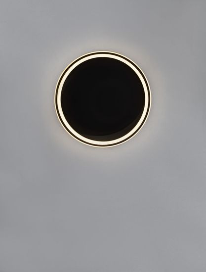 Nova Luce WILLOW LED Deckenleuchte Schwarz 38W Warmweiss 6x45cm 9212912