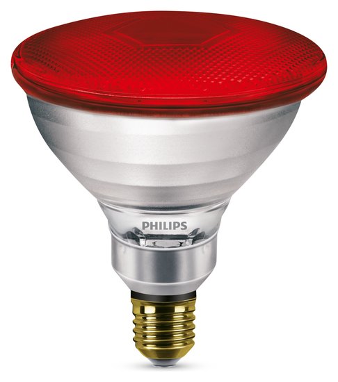 Philips Infrarotlampe PAR38 IR 175W E27 240V Red 1CT/12