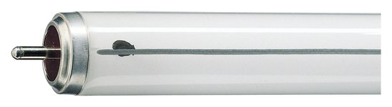 Philips Lampe TL-X XL 20W/33-640 SLV/25 940lm