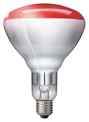 Philips Infrarotlampe BR125 IR 250W E27 230-250V Red 1CT/10