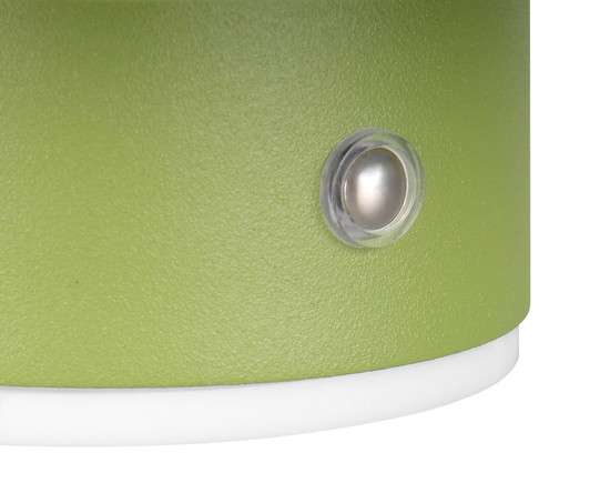 Reality R24431115 Davey LED Wandleuchte 1,5W ⌀15,5cm Grün warmweiss Touch