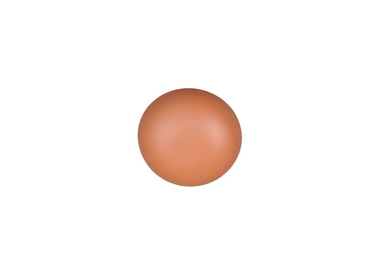 Reality R24431140 Davey LED Wandleuchte 1,5W ⌀15,5cm Apricot warmweiss Touch