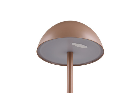 Reality R54106165 Ricardo LED Tischleuchte 1,7W ⌀13,5cm Coffee IP54 warmweiss Touch