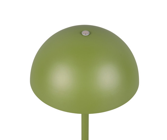 Reality R54891115 Munoz LED Tischleuchte 1,3W ⌀13cm Grün warmweiss Touch