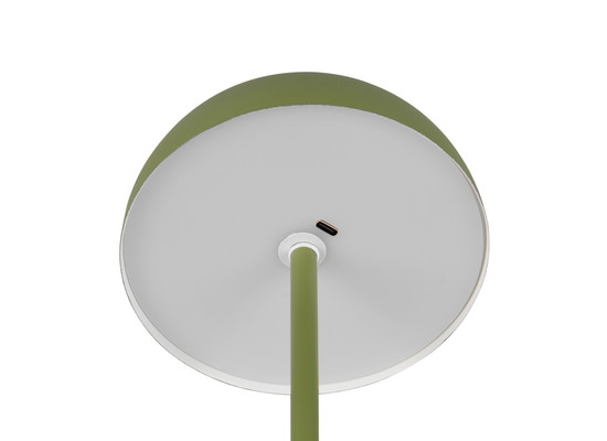 Reality R54891115 Munoz LED Tischleuchte 1,3W ⌀13cm Grün warmweiss Touch