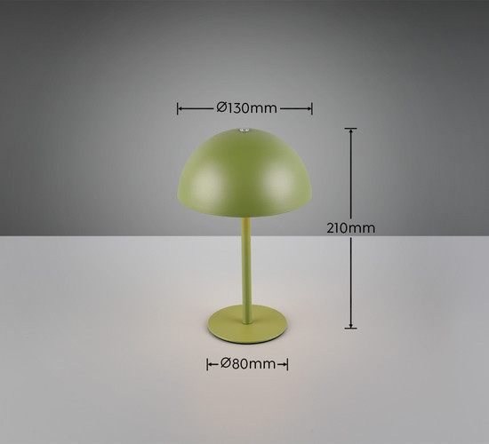 Reality R54891115 Munoz LED Tischleuchte 1,3W ⌀13cm Grün warmweiss Touch
