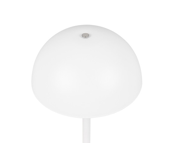 Reality R54891131 Munoz LED Tischleuchte 1,3W ⌀13cm Weiß Matt warmweiss Touch