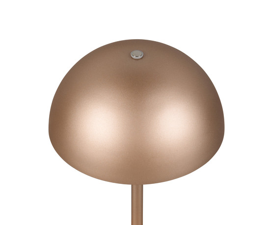 Reality R54891165 Munoz LED Tischleuchte 1,3W ⌀13cm Coffee warmweiss Touch