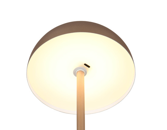 Reality R54891165 Munoz LED Tischleuchte 1,3W ⌀13cm Coffee warmweiss Touch