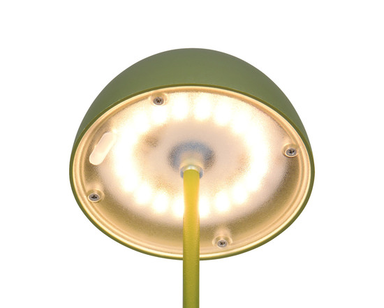 Reality R55601115 Ortiz LED Tischleuchte 2W ⌀9cm dimmbar Grün IP44 warmweiss