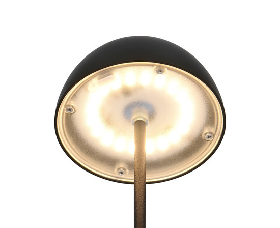 Reality R55601132 Ortiz LED Tischleuchte 2W ⌀9cm dimmbar Schwarz Matt IP44 warmweiss