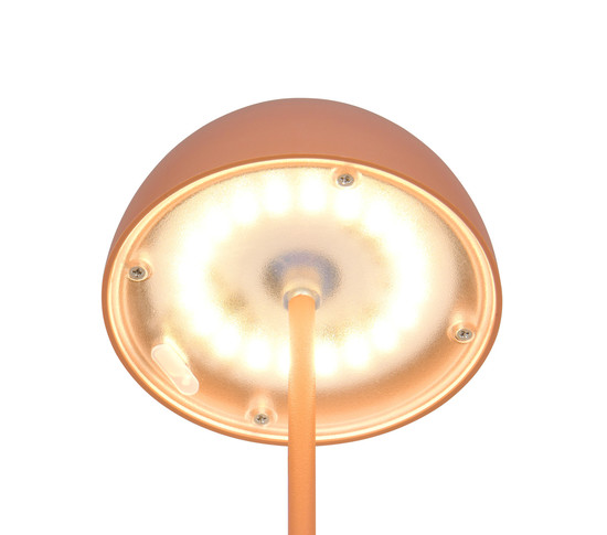 Reality R55601140 Ortiz LED Tischleuchte 2W ⌀9cm dimmbar Apricot IP44 warmweiss