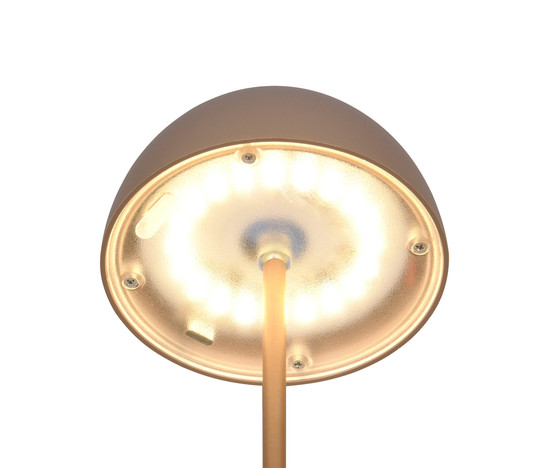 Reality R55601165 Ortiz LED Tischleuchte 2W ⌀9cm dimmbar Coffee IP44 warmweiss