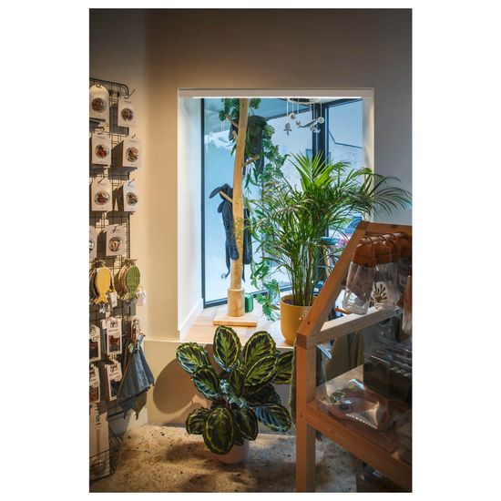 SLV 1006618 IN-LINE 22 48V TRACK, opal, DALI, Spot, weiß, weiß, 7.3W, 570lm, 3000K, CRI90, 95°