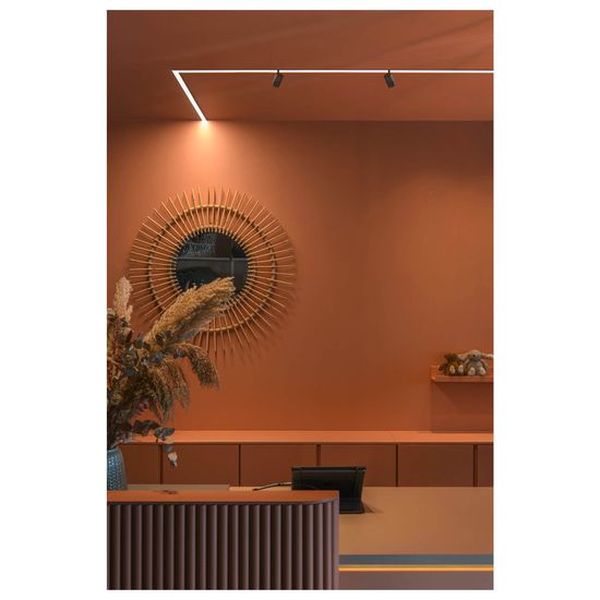 SLV 1006621 IN-LINE 44 48V TRACK, opal, DALI, Spot, schwarz 14W, 1140lm, 2700K, CRI90, 95°