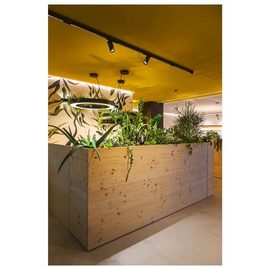 SLV 1006635 IN-LINE 44 48V TRACK, Darklight Reflector, DALI, Spot, schwarz, schwarz, 14W, 1230lm, 3000K, CRI90, 35°