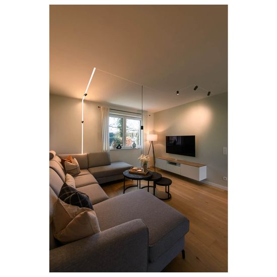 SLV 1006762 NUMINOS XS 48V TRACK, DALI, Pendelleuchte, schwarz, schwarz, 8.7W, 620lm, 2700K, CRI90, 40°