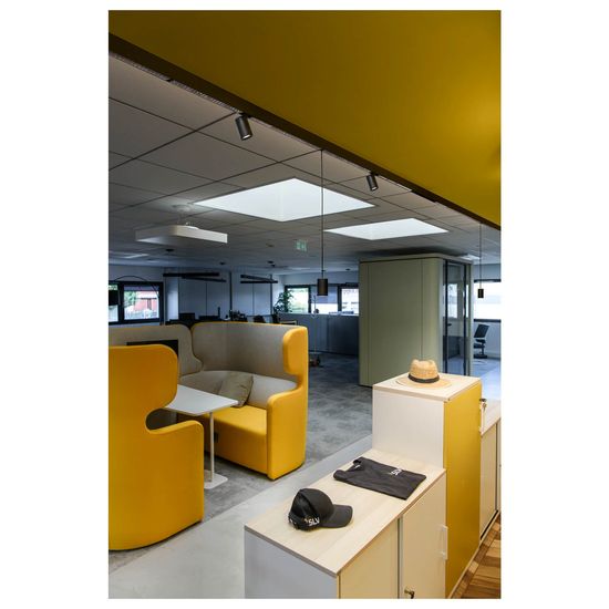 SLV 1006783 NUMINOS XS 48V TRACK, DALI, Pendelleuchte, schwarz, schwarz, 8.7W, 690lm, 3000K, CRI90, 55°